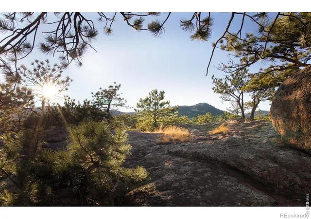 50th image of 1893 Colard Ln, Lyons, CO 80540 | MLS# IR1061594