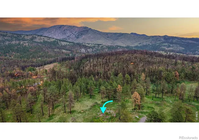 Homes for sale in Drake, CO | 179 Green Ridge Rd, Drake, CO 80515 | MLS# IR1061601