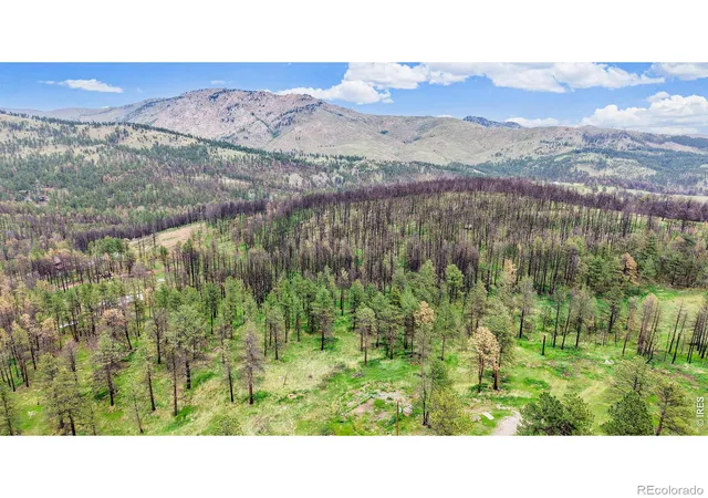 Homes for sale in Drake, CO | 179 Green Ridge Rd, Drake, CO 80515 | MLS# IR1061601