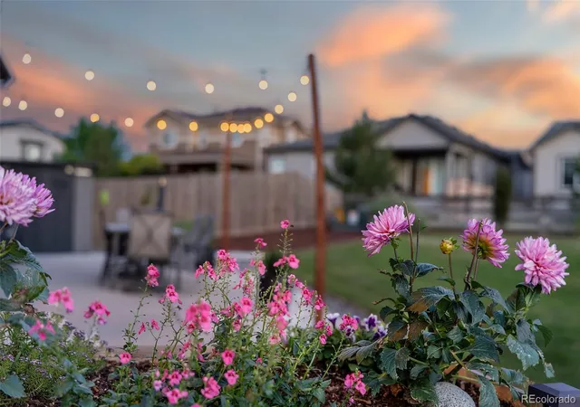 24th image of 17862 E 97th Cir, Commerce City, CO 80022 | MLS# 5926215