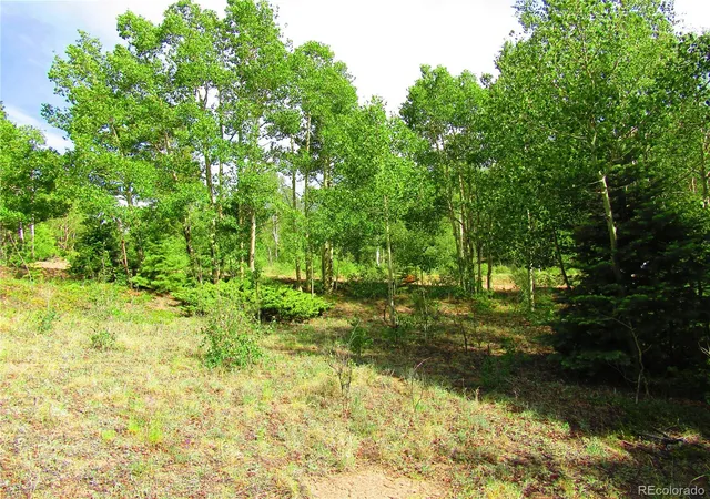 Homes for sale in San Luis, CO | Lot 6093 Forbes Rd, San Luis, CO 81152 | MLS# 9196479