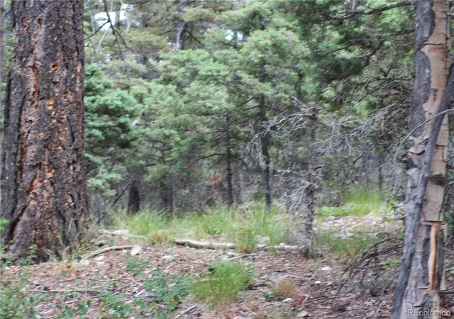 Homes for sale in San Luis, CO | Lot 6077 Vreeland Rd, San Luis, CO 81152 | MLS# 8581041