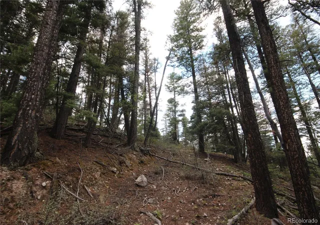 Homes for sale in San Luis, CO | Lot 6077 Vreeland Rd, San Luis, CO 81152 | MLS# 8581041