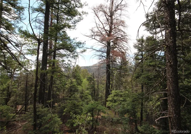 Homes for sale in San Luis, CO | Lot 6077 Vreeland Rd, San Luis, CO 81152 | MLS# 8581041