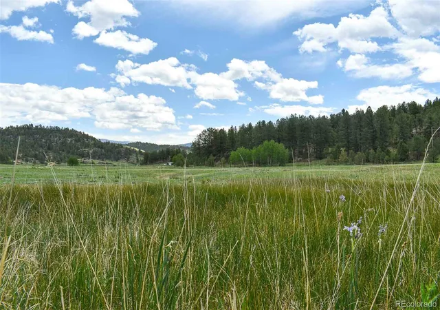 1st image of 729 Valley Dr, Guffey, CO 80820 | MLS# 9588880