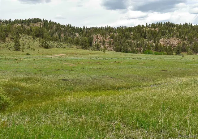 2nd image of 729 Valley Dr, Guffey, CO 80820 | MLS# 9588880