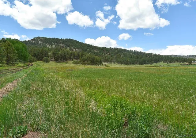 3rd image of 729 Valley Dr, Guffey, CO 80820 | MLS# 9588880
