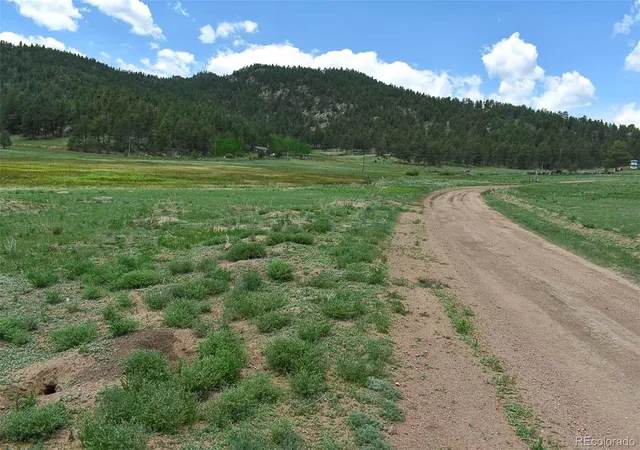 39th image of 729 Valley Dr, Guffey, CO 80820 | MLS# 9588880