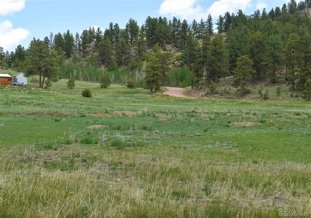 4th image of 729 Valley Dr, Guffey, CO 80820 | MLS# 9588880