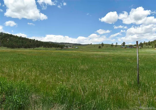 5th image of 729 Valley Dr, Guffey, CO 80820 | MLS# 9588880