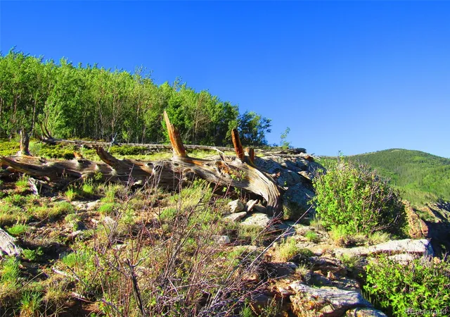 Homes for sale in San Luis, CO | Lot 6427 Laffin Rd, San Luis, CO 81152 | MLS# 7743636