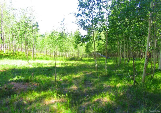 Homes for sale in San Luis, CO | Lot 6427 Laffin Rd, San Luis, CO 81152 | MLS# 7743636