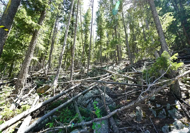 Photo 3 of Land for sale at 000 Saddleback Dr, Evergreen, CO 80439 | MLS# 2150144 | Listing updated on 2026-06-12