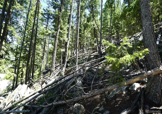 Photo 3 of Land for sale at 000 Saddleback Dr, Evergreen, CO 80439 | MLS# 2150144 | Listing updated on 2026-06-12