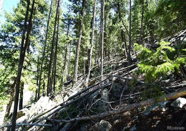Photo 4 of Land for sale at 000 Saddleback Dr, Evergreen, CO 80439 | MLS# 2150144 | Listing updated on 2026-06-12