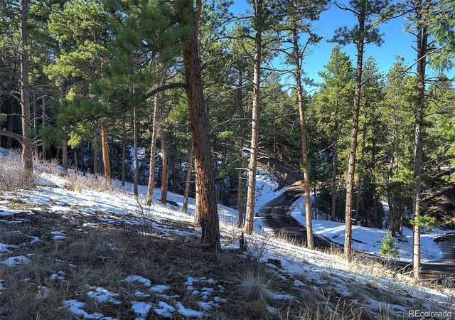 Homes for sale in Pine, CO | 6 Turret Peak Trl, Pine, CO 80470 | MLS# 4248827