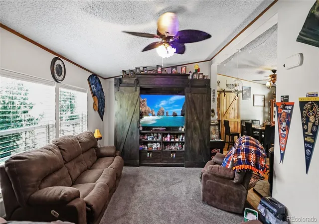 Homes for sale in Bailey, CO | 76 S Pine Dr, Bailey, CO 80421 | MLS# 3763256