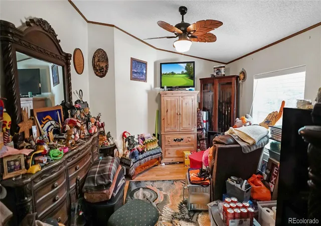 Homes for sale in Bailey, CO | 76 S Pine Dr, Bailey, CO 80421 | MLS# 3763256
