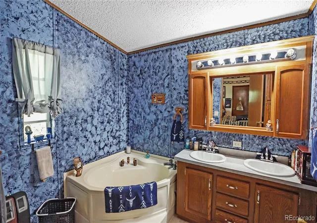 Homes for sale in Bailey, CO | 76 S Pine Dr, Bailey, CO 80421 | MLS# 3763256