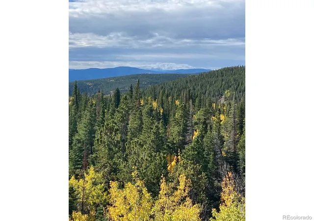 Homes for sale in Ward, CO | 1199 Brainard Lake Rd, Ward, CO 80481 | MLS# IR1061682