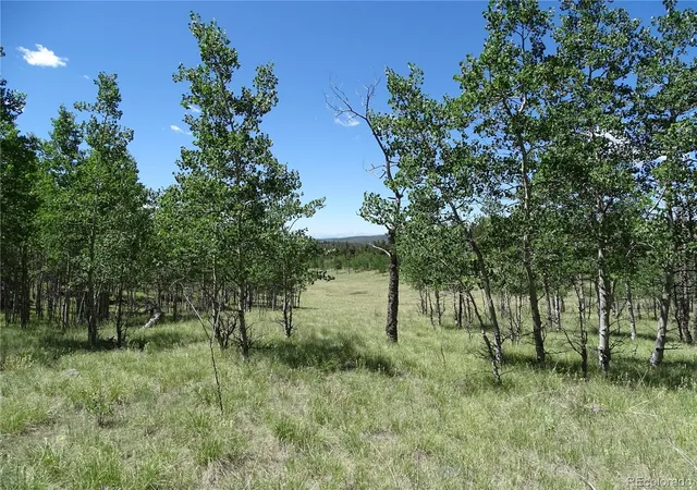 Homes for sale in Como, CO | 782 Bowstring Rd, Como, CO 80432 | MLS# 5081554