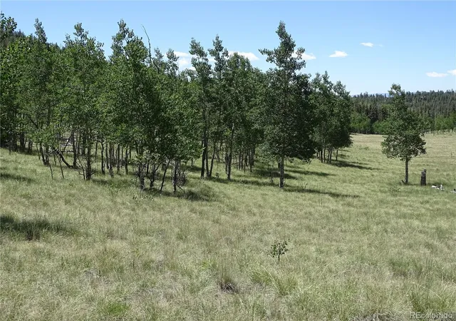 Homes for sale in Como, CO | 782 Bowstring Rd, Como, CO 80432 | MLS# 5081554