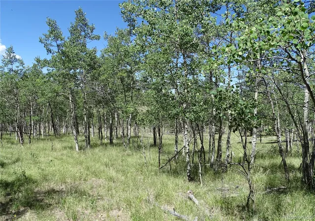 Homes for sale in Como, CO | 782 Bowstring Rd, Como, CO 80432 | MLS# 5081554