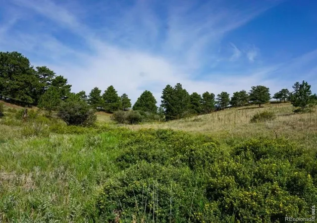 1st image of 0 Stub Ct, Livermore, CO 80536 | MLS# IR1061714