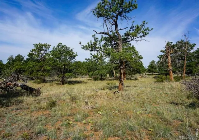 4th image of 0 Stub Ct, Livermore, CO 80536 | MLS# IR1061714