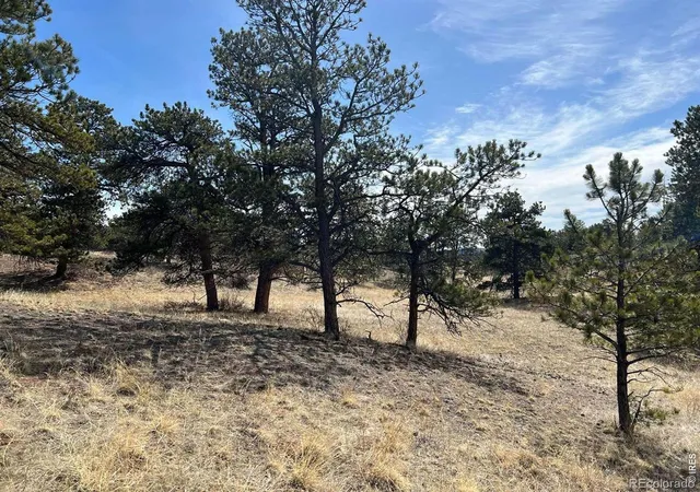 48th image of 0 Stub Ct, Livermore, CO 80536 | MLS# IR1061714