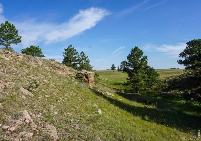 5th image of 0 Stub Ct, Livermore, CO 80536 | MLS# IR1061714