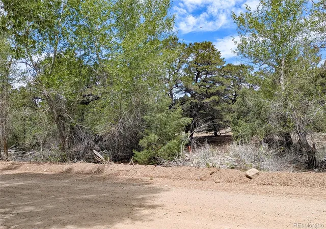 Homes for sale in Crestone, CO | 3825 Virtue Wy, Crestone, CO 81131 | MLS# 5493493