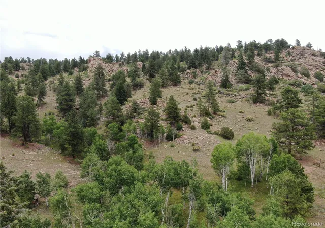 Homes for sale in Florissant, CO | 76 Crocus Cir, Florissant, CO 80816 | MLS# 1582662