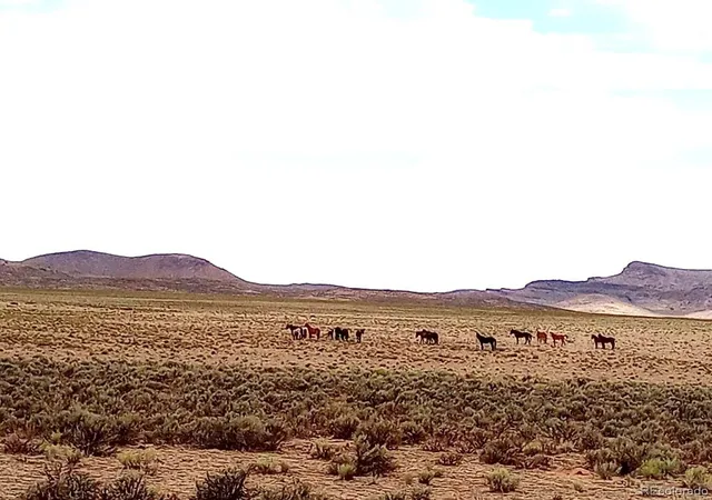 Photo 1 of Land for sale at 40 Acres County Rd 27, San Acacio, CO 81151 | MLS# 7493244 | Listing updated on 2026-08-26