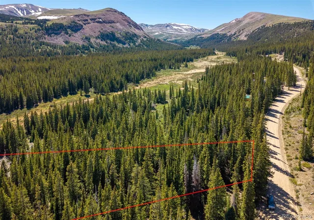 Homes for sale in Fairplay, CO | 5680 Timberline Ter, Fairplay, CO 80440 | MLS# 1909519
