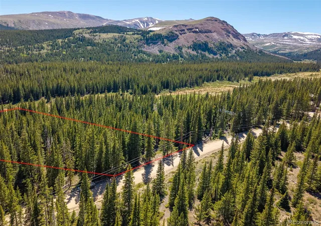 Homes for sale in Fairplay, CO | 5680 Timberline Ter, Fairplay, CO 80440 | MLS# 1909519