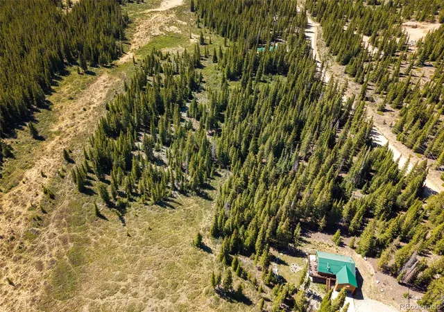 Homes for sale in Fairplay, CO | 5680 Timberline Ter, Fairplay, CO 80440 | MLS# 1909519