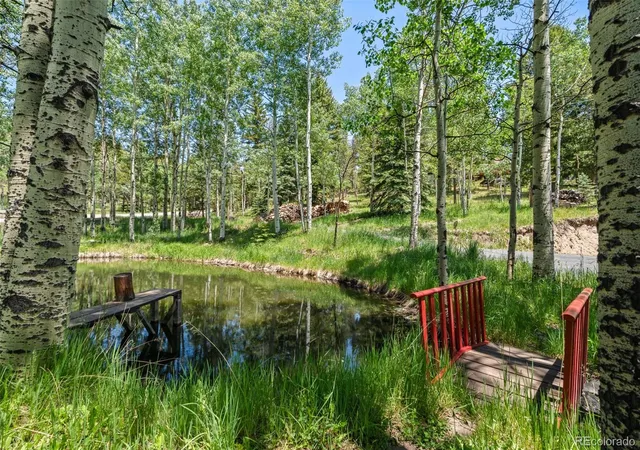 Homes for sale in Conifer, CO | 9030 Rex Ln, Conifer, CO 80433 | MLS# 9257036