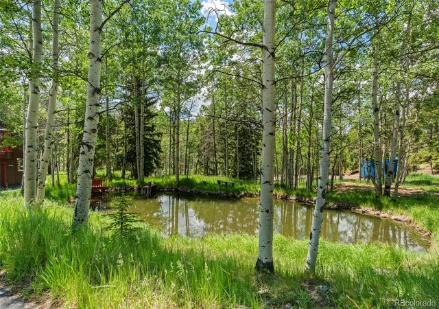 Homes for sale in Conifer, CO | 9030 Rex Ln, Conifer, CO 80433 | MLS# 9257036