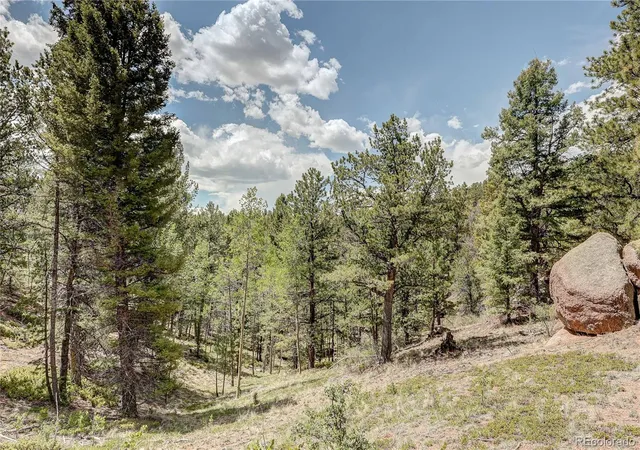 Homes for sale in Divide, CO | 59 Robin Pt, Divide, CO 80814 | MLS# 6635922