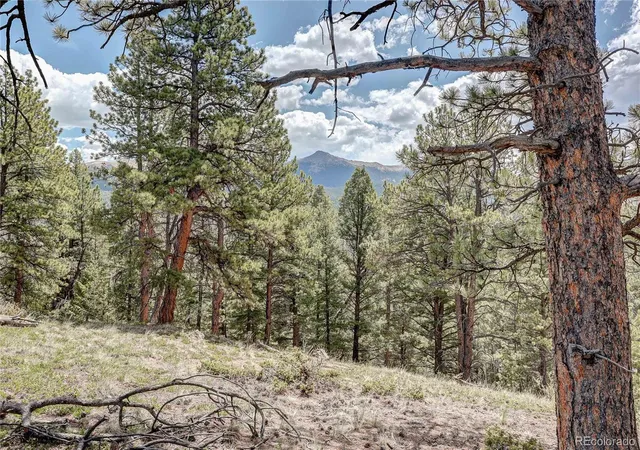 Homes for sale in Divide, CO | 59 Robin Pt, Divide, CO 80814 | MLS# 6635922