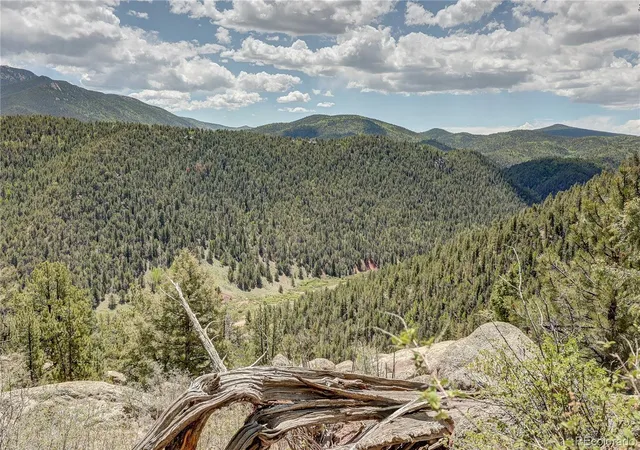 Homes for sale in Divide, CO | 59 Robin Pt, Divide, CO 80814 | MLS# 6635922