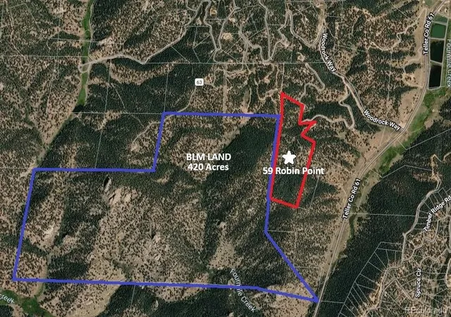 Homes for sale in Divide, CO | 59 Robin Pt, Divide, CO 80814 | MLS# 6635922