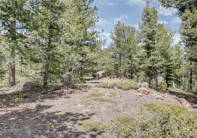 5th image of 59 Robin Pt, Divide, CO 80814 | MLS# 6635922