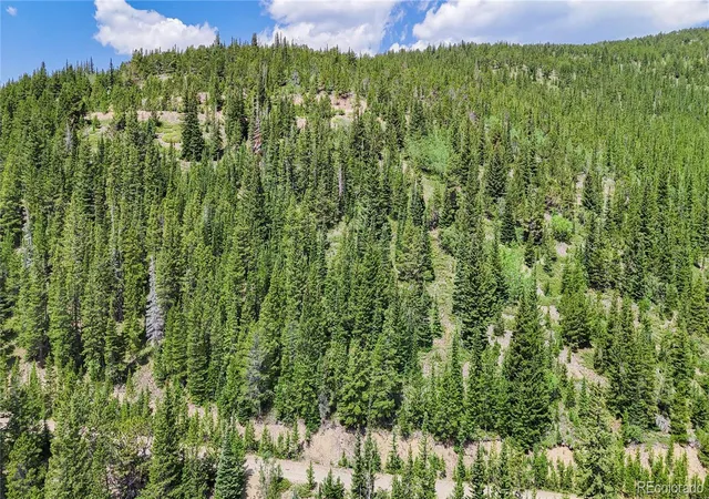 Homes for sale in Idaho Springs, CO | 508 Hilltop Rd, Idaho Springs, CO 80452 | MLS# 7314777