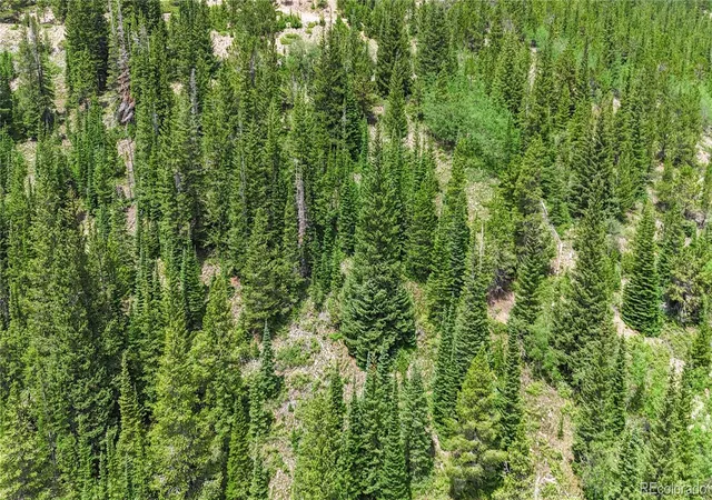 Homes for sale in Idaho Springs, CO | 508 Hilltop Rd, Idaho Springs, CO 80452 | MLS# 7314777