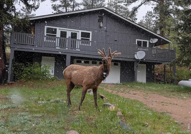 Photo 1 of Single family home for sale at 163 West Crk Rd, Glen Haven, CO 80532 | MLS# IR1061850 | Listing updated on 2026-09-22