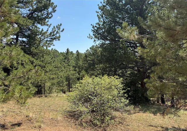 2nd image of 1986 May Queen Dr, Cripple Creek, CO 80813 | MLS# 3251666