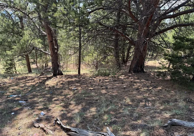 Photo 3 of Land for sale at 1986 May Queen Dr, Cripple Creek, CO 80813 | MLS# 3251666 | Listing updated on 2026-08-17