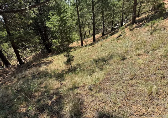 4th image of 1986 May Queen Dr, Cripple Creek, CO 80813 | MLS# 3251666
